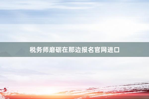 税务师磨砺在那边报名官网进口