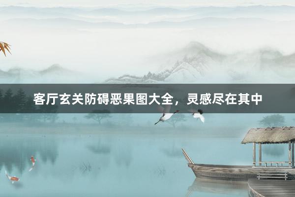 客厅玄关防碍恶果图大全，灵感尽在其中